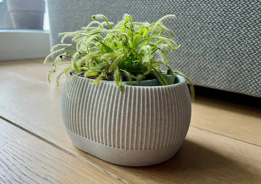 self watering planter 3.webp