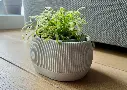 self watering planter 3.webp