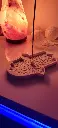 incense burner 1.webp