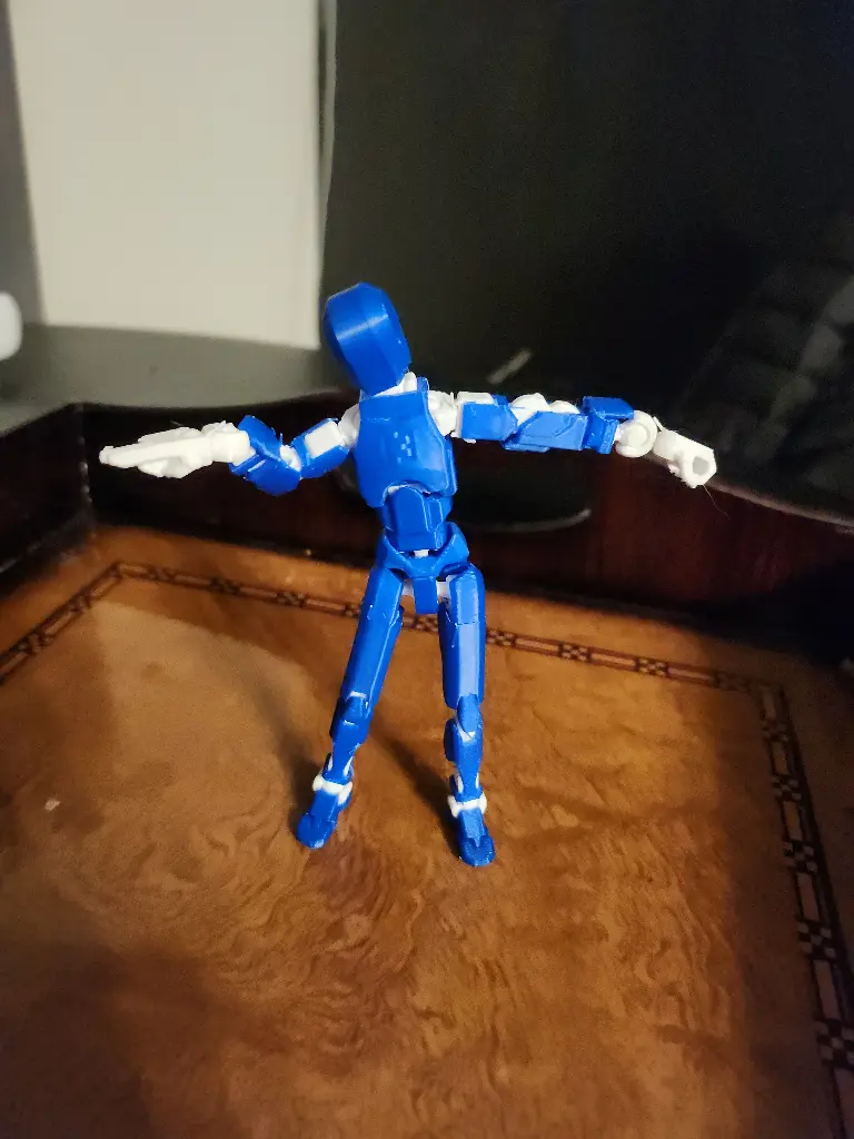 Dummy 13