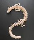 Flexii Fire Dragon