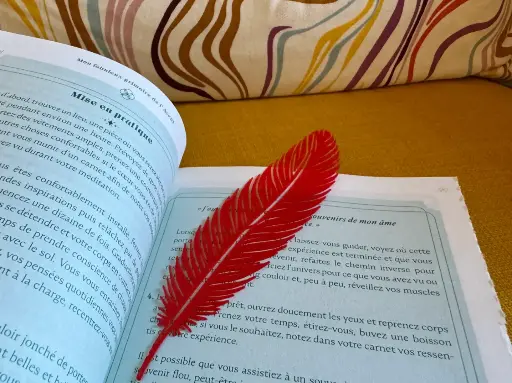 Feather bookmark